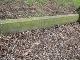image of grave number 624850